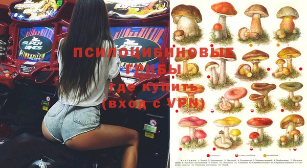 гашик Козельск