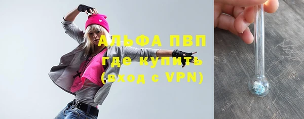 гашик Козельск