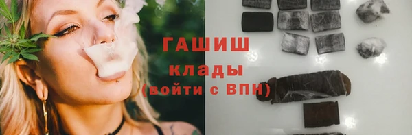 гашик Козельск