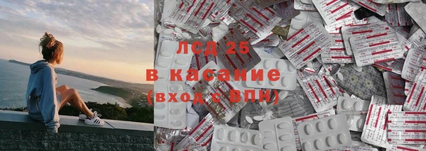 гашик Козельск