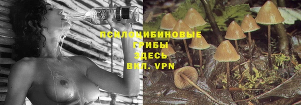 гашик Козельск