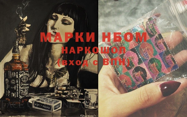 гашик Козельск
