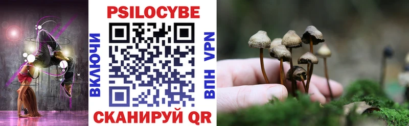 Псилоцибиновые грибы мицелий Купить Кушва